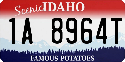 ID license plate 1A8964T