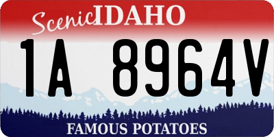 ID license plate 1A8964V
