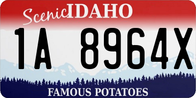 ID license plate 1A8964X