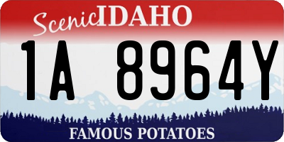 ID license plate 1A8964Y