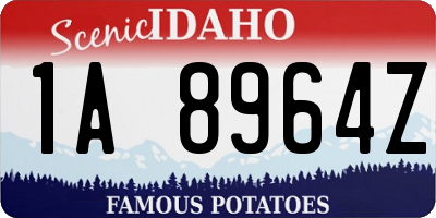 ID license plate 1A8964Z