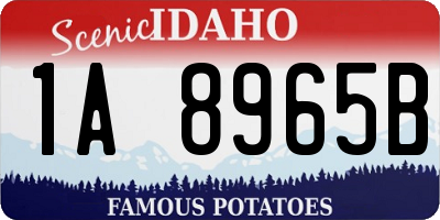 ID license plate 1A8965B