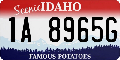 ID license plate 1A8965G