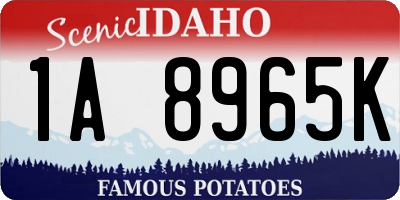 ID license plate 1A8965K