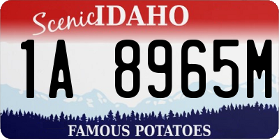 ID license plate 1A8965M