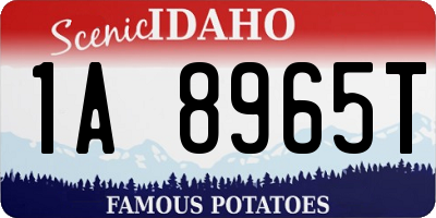 ID license plate 1A8965T