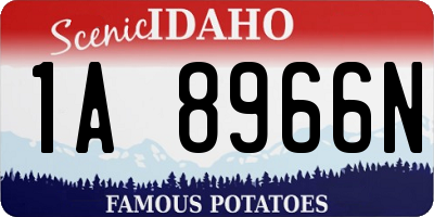 ID license plate 1A8966N