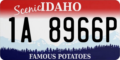 ID license plate 1A8966P