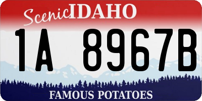 ID license plate 1A8967B