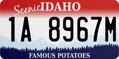 ID license plate 1A8967M