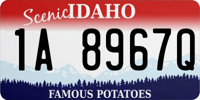 ID license plate 1A8967Q