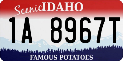 ID license plate 1A8967T