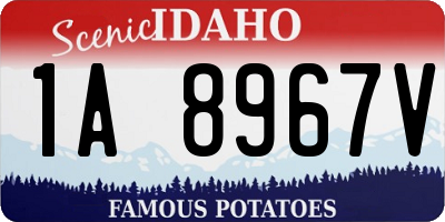 ID license plate 1A8967V
