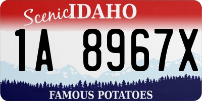 ID license plate 1A8967X