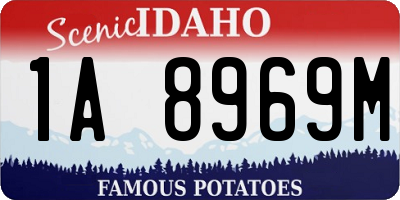 ID license plate 1A8969M