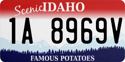 ID license plate 1A8969V
