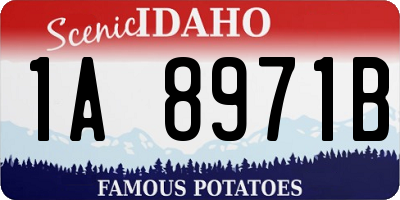 ID license plate 1A8971B