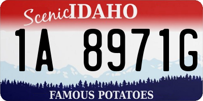 ID license plate 1A8971G
