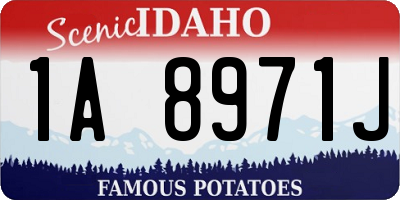 ID license plate 1A8971J