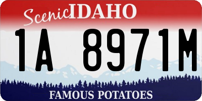 ID license plate 1A8971M