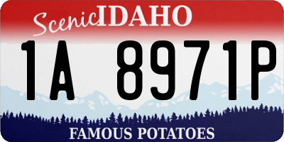 ID license plate 1A8971P