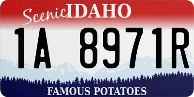 ID license plate 1A8971R