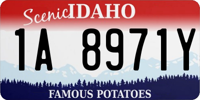 ID license plate 1A8971Y