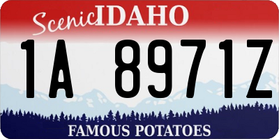 ID license plate 1A8971Z
