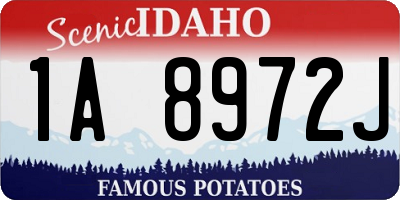 ID license plate 1A8972J