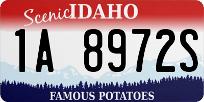ID license plate 1A8972S
