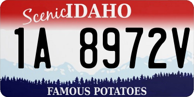 ID license plate 1A8972V