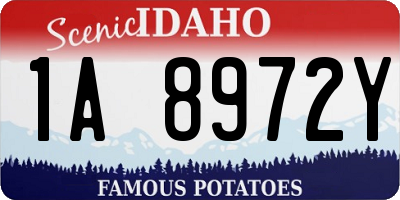 ID license plate 1A8972Y