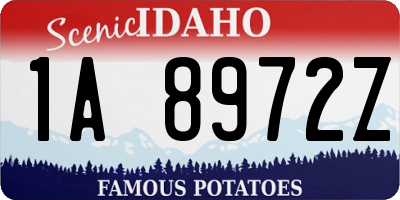 ID license plate 1A8972Z