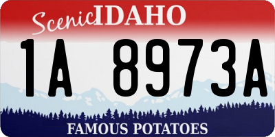 ID license plate 1A8973A