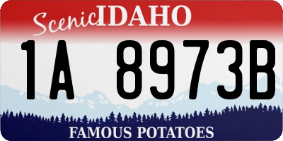 ID license plate 1A8973B