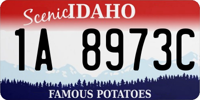 ID license plate 1A8973C