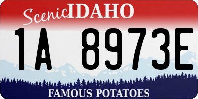 ID license plate 1A8973E