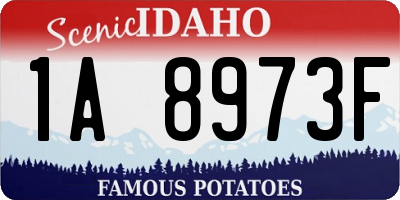 ID license plate 1A8973F