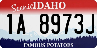 ID license plate 1A8973J