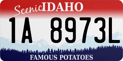 ID license plate 1A8973L