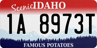 ID license plate 1A8973T