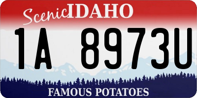 ID license plate 1A8973U