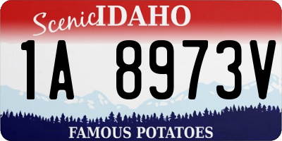 ID license plate 1A8973V