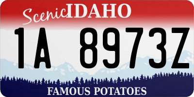 ID license plate 1A8973Z