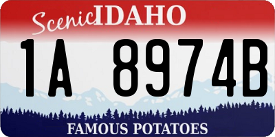 ID license plate 1A8974B