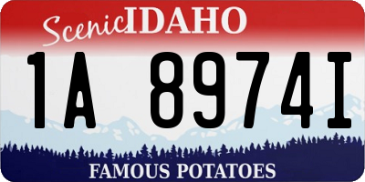 ID license plate 1A8974I