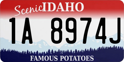 ID license plate 1A8974J