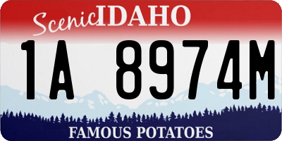 ID license plate 1A8974M
