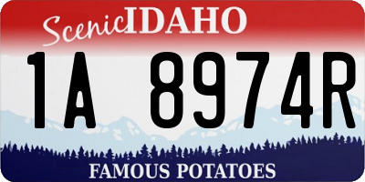 ID license plate 1A8974R