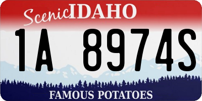 ID license plate 1A8974S
